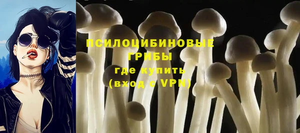 прущий лед Вязьма
