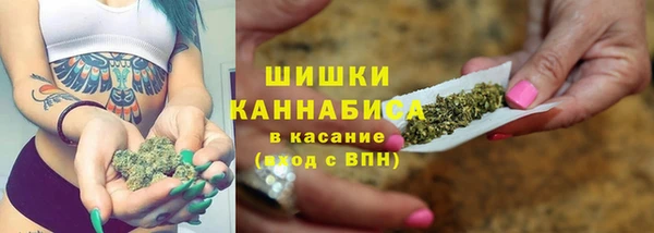 круглые Вяземский