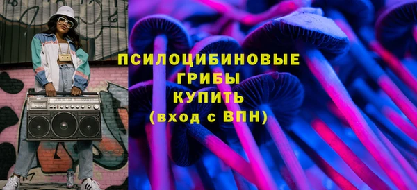 круглые Вяземский
