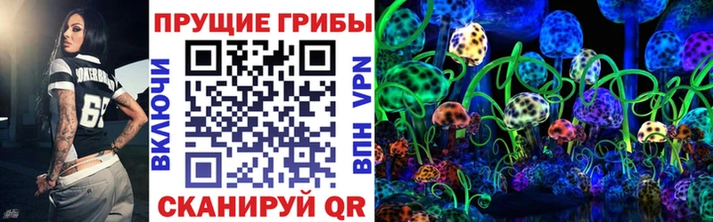 Галлюциногенные грибы Psilocybe Красноярск